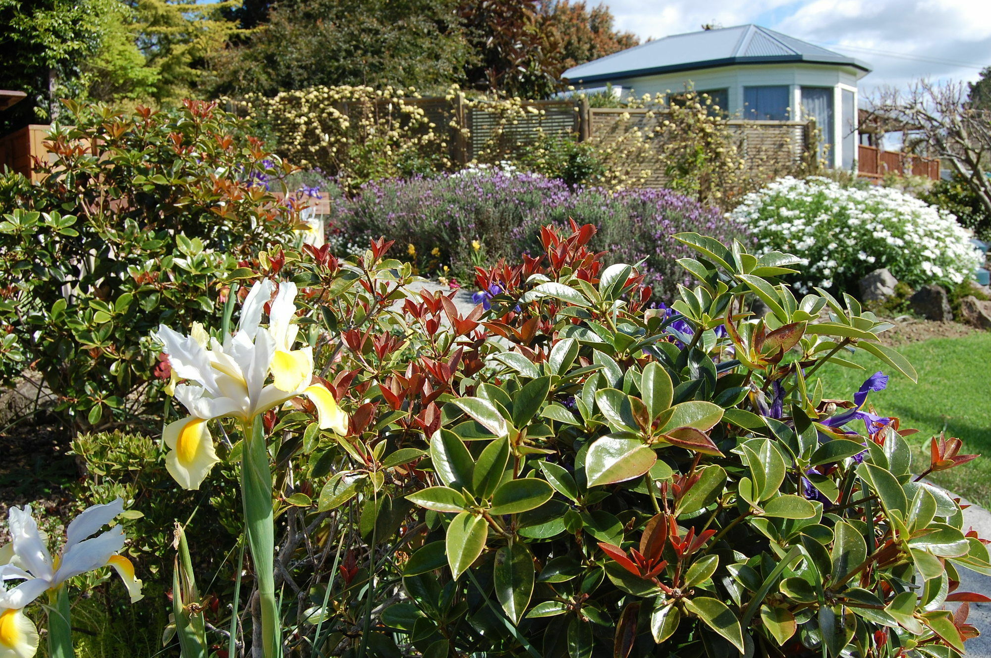 Te Awa Lodge Paihia Eksteriør bilde